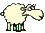 :ovca: